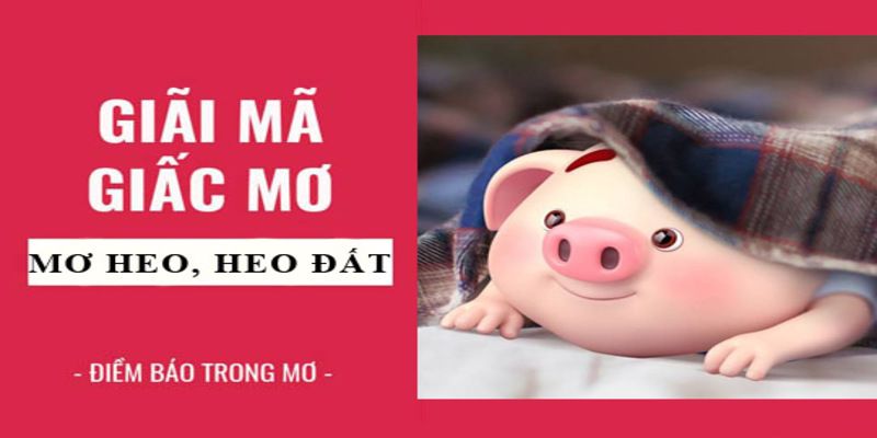 Giải mã giấc mơ thấy heo